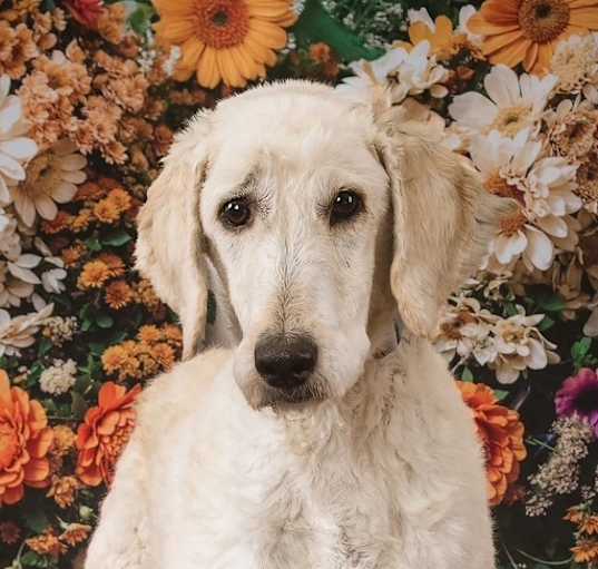 Photo of Baylin