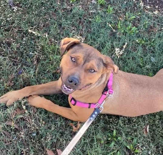 Photo of Penelope