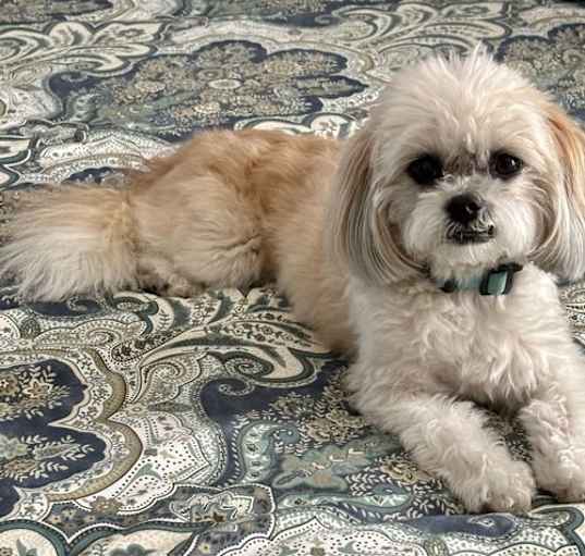 Photo of Sophie Grace