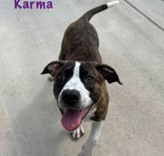 Photo of Karma