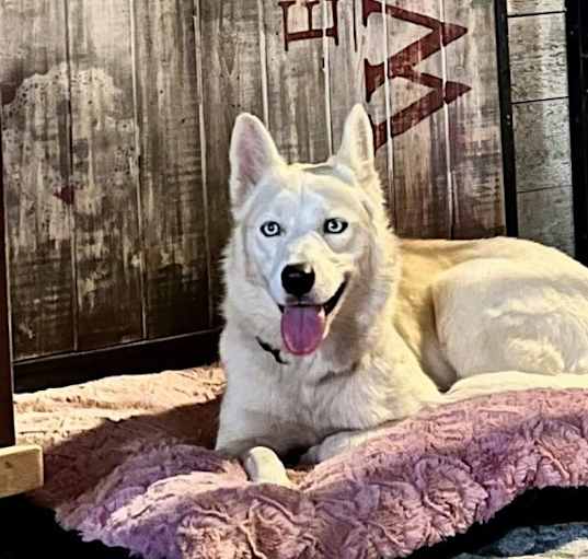 Photo of Laynie