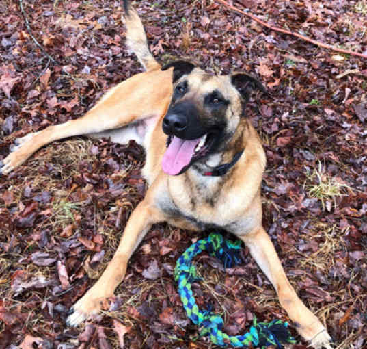 Photo of Blu