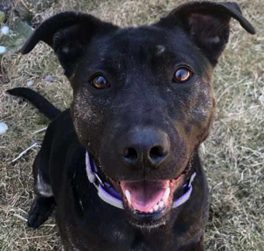 Photo of Fiona