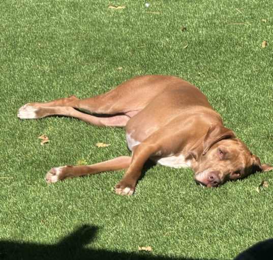 Photo of Gracie May