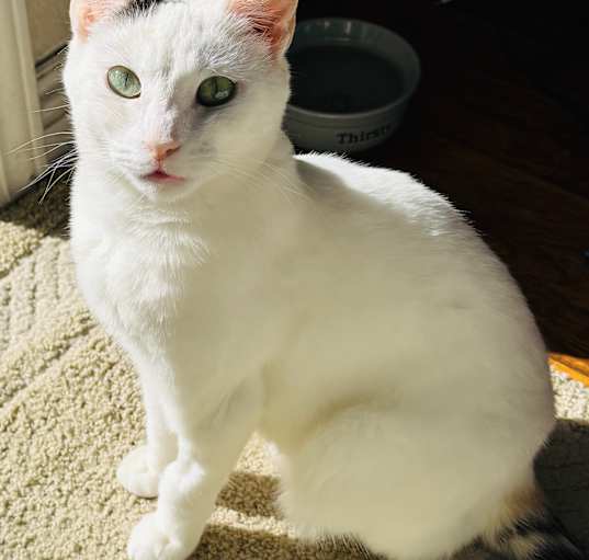 Photo of Peggy
