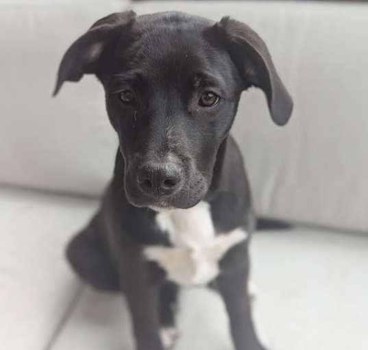 Photo of Kodak