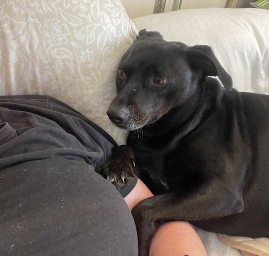 Photo of Smokey