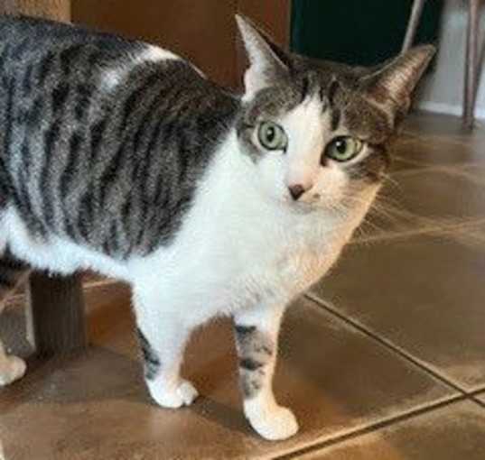Photo of Mabel