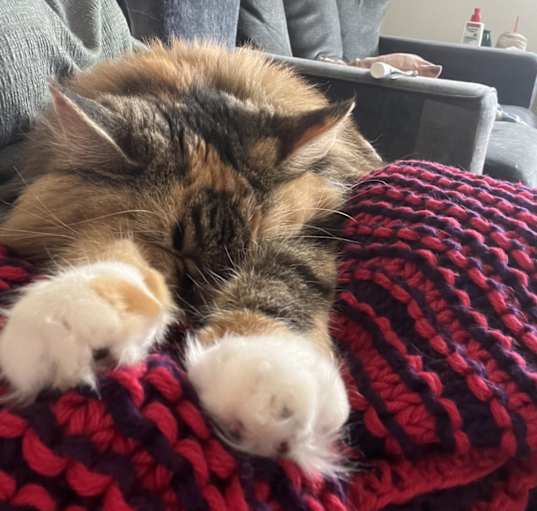 Photo of Winnifred