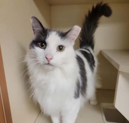 Photo of Turbo