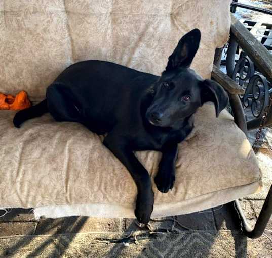 Photo of Wesley-In A Foster Home