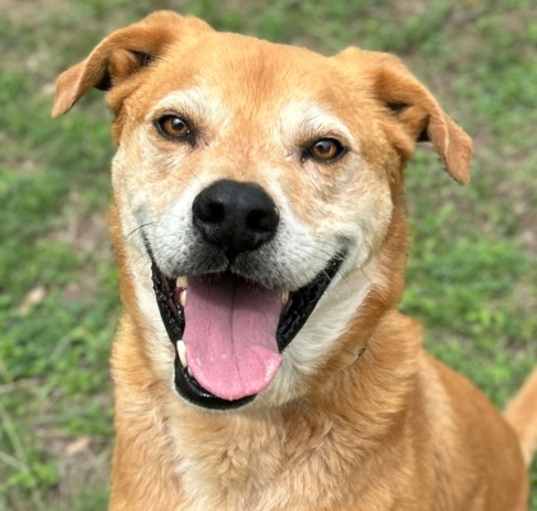 Photo of Ares