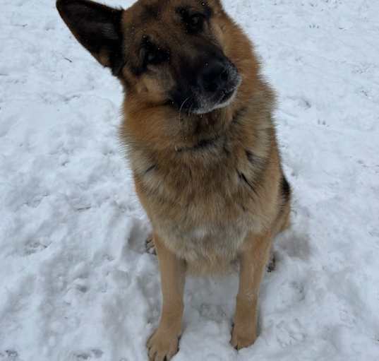 Photo of Charlie