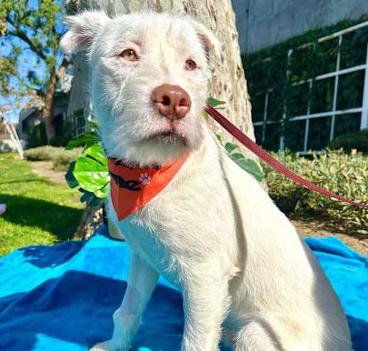 Photo of Aspen