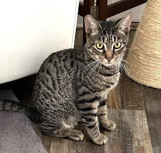 Photo of Sammy