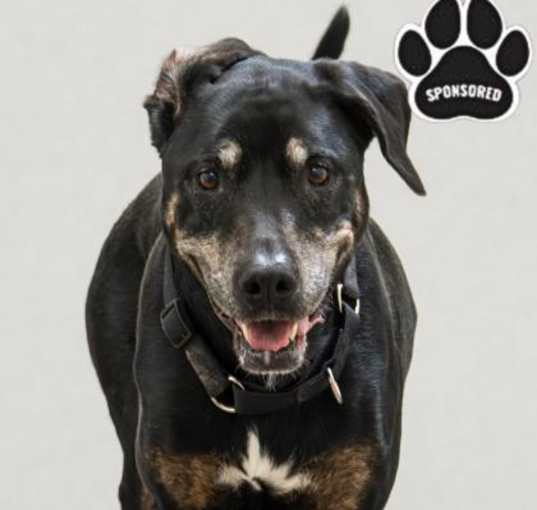 Photo of Annie