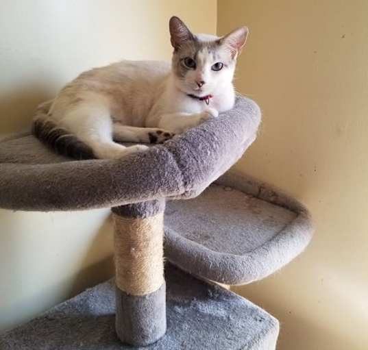 Photo of Molly