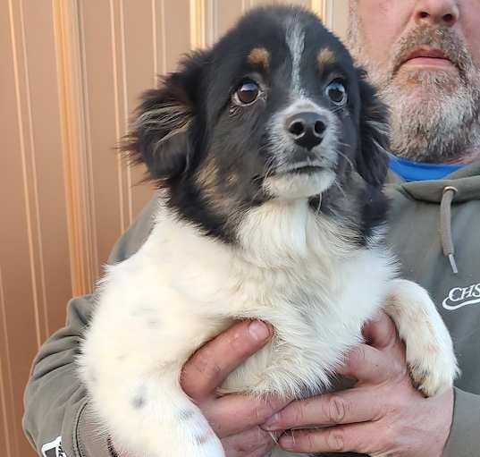 Photo of Ernie