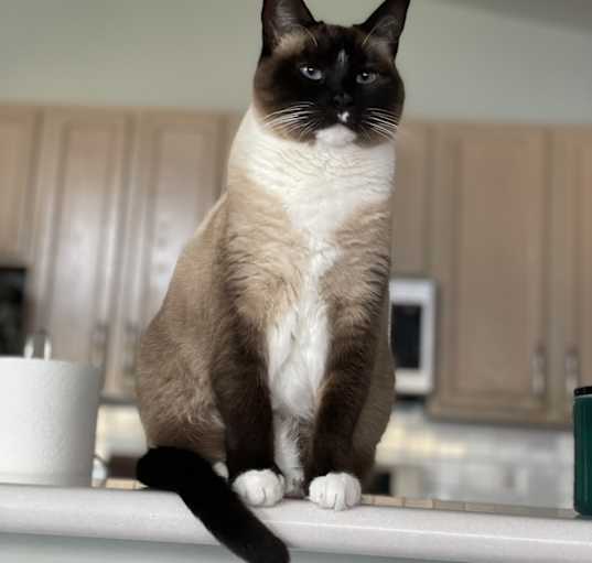 Photo of Mina