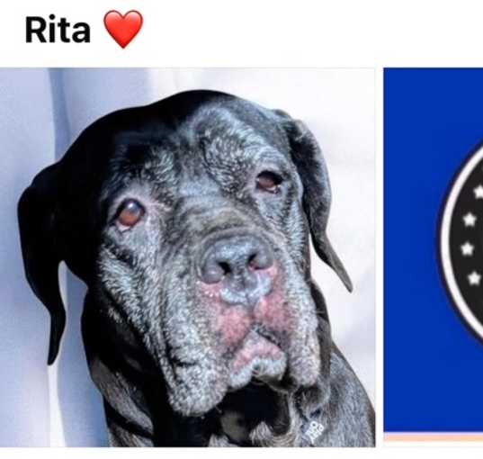 Photo of RITA