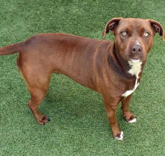 Photo of ZIGGY
