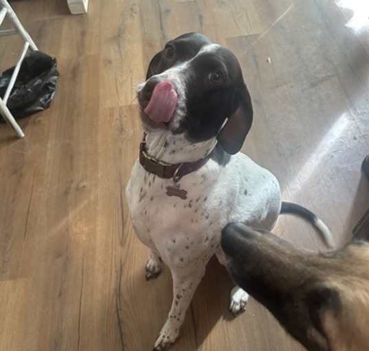 Photo of PENNY