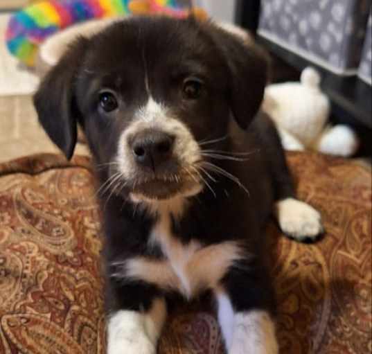 Photo of Tex