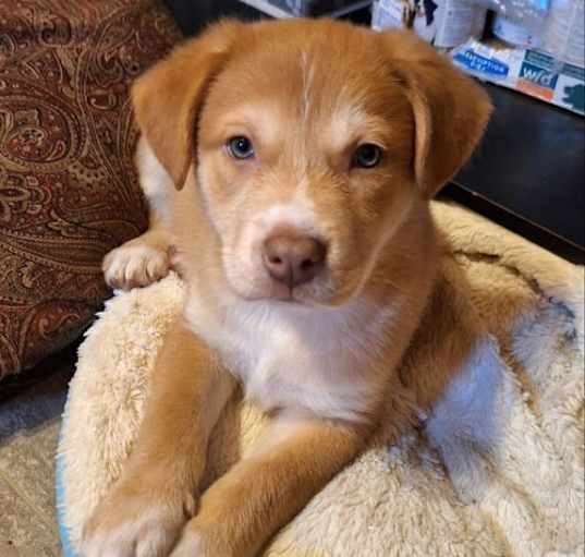 Photo of Tyson