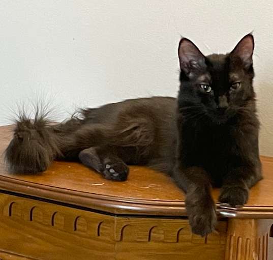 Photo of Sasha