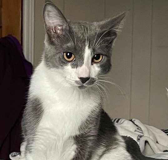 Photo of Benny
