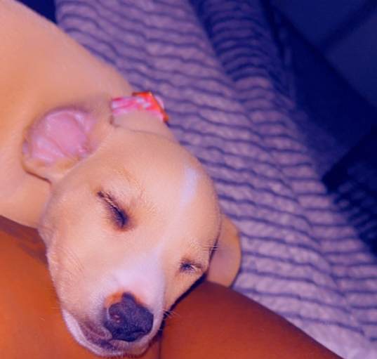Photo of Honey
