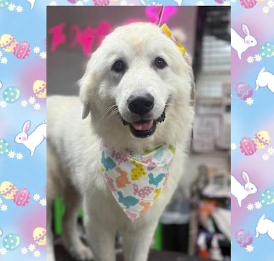 Photo of Hope