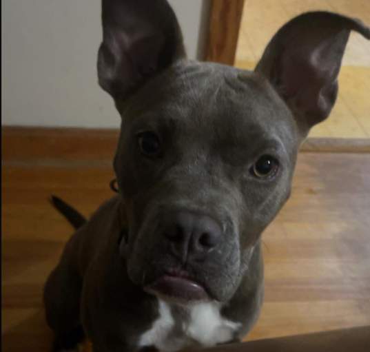 Photo of Sami