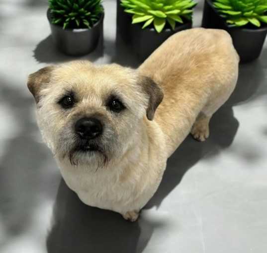 Photo of Hutch