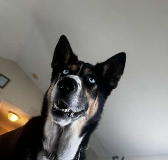 Photo of REMI