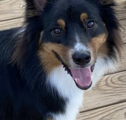Photo of Atlas