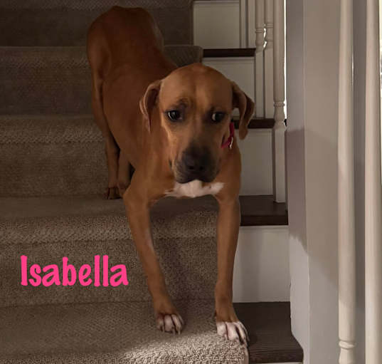 Photo of Isabella