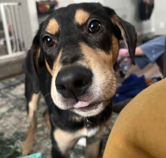 Photo of Murphy