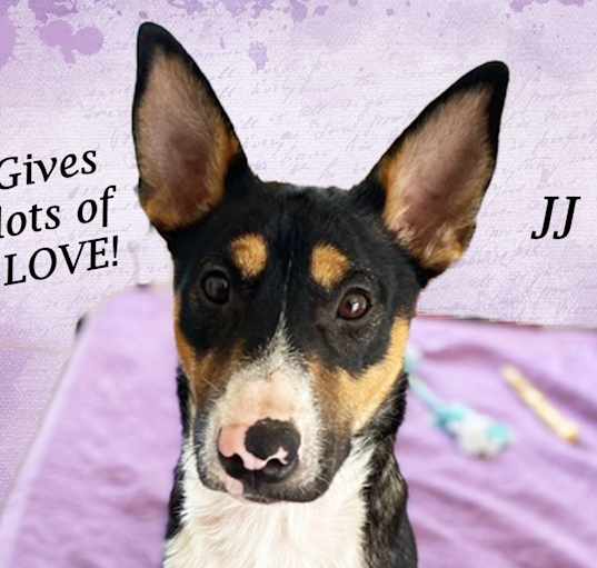 Photo of JJ