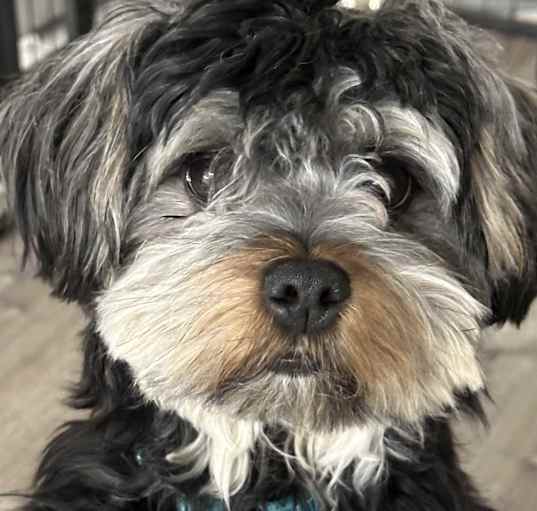 Photo of Finnegan