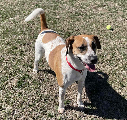 Photo of Rosie