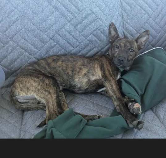 Photo of Rudy