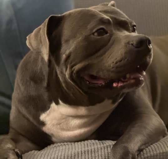 Photo of Duke