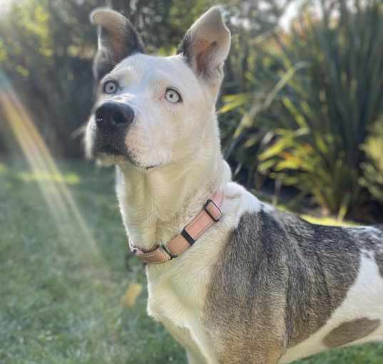 Photo of HOLLY