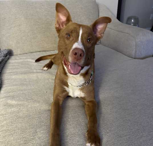 Photo of Blue