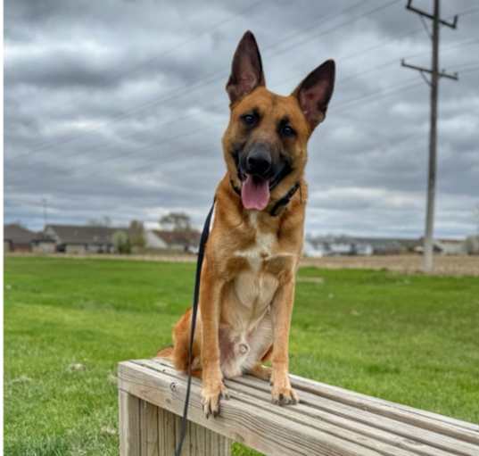 Photo of Magnet