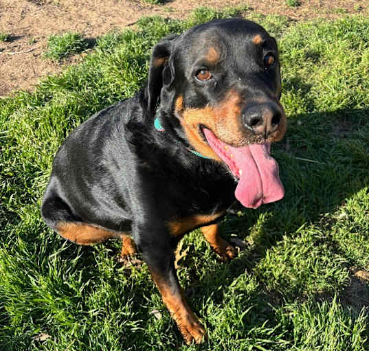 Photo of Jude