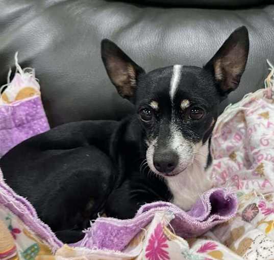 Photo of Kaida
