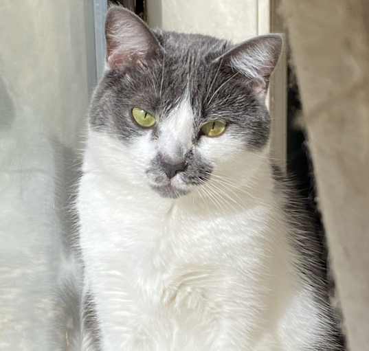 Photo of Skeeter
