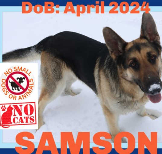 Photo of SAMSON